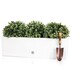 image 1 of Primrose Gloss Fibreglass Trough Planter in White 80cm