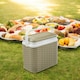 image 2 of 10L Rattan Insulated Small Cooler Box with 1 Ice Pack | Cream | 1