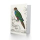 image 2 of Oliver Goldsmith Art Card Parakeet Parrot Bird Drawing