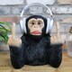 image 2 of Gifts Direct 2 U 'Up Yours' Monkey Headphone Holder Ornament Black