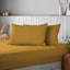 Ochre