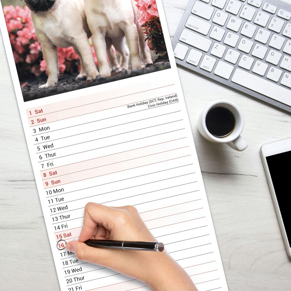 image 1 of Pug Slim 2026 Calendar | Slimline Wall Calendar | Dog Breed Gift | Plastic Free Packaging | by Avonside Publishing [Calendar] Avonside Publishing Ltd