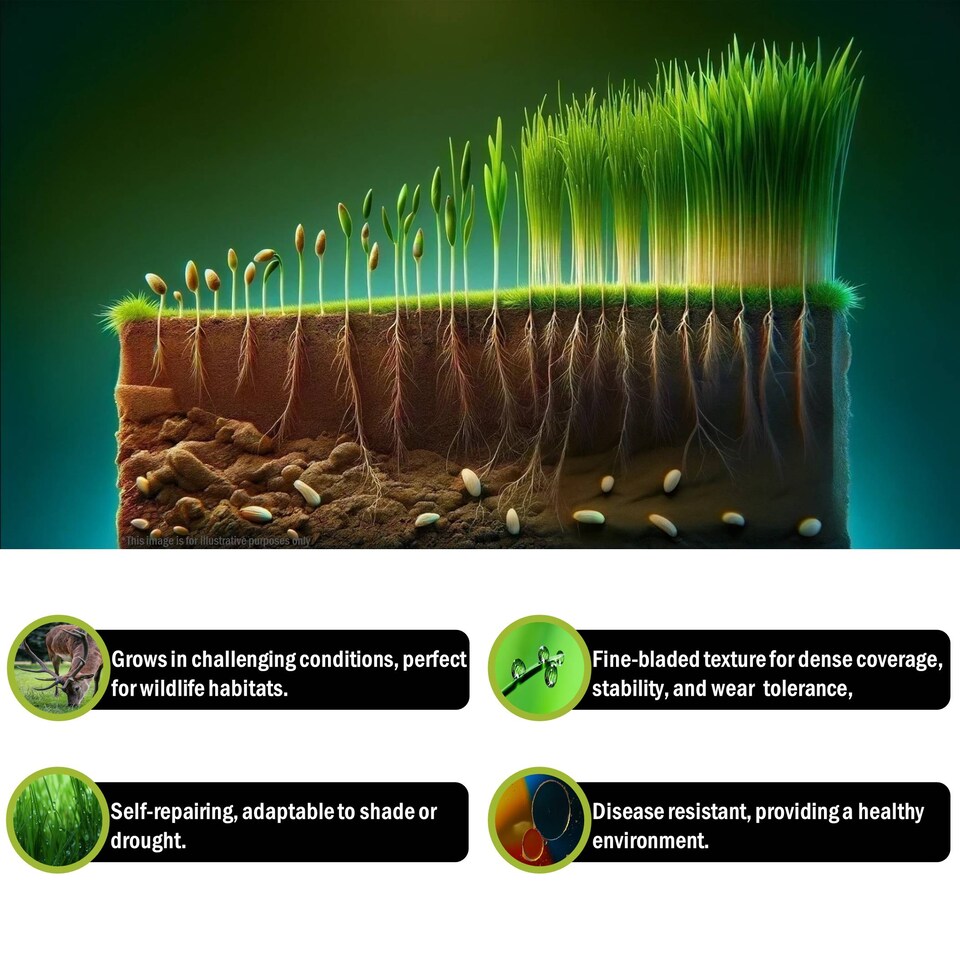 image 1 of Pegdev Wildlife Grass Seed Versatile Resilient Blend for Lush Gardens 20kg