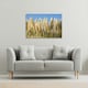 image 2 of Pampus Grass (Canvas Print)