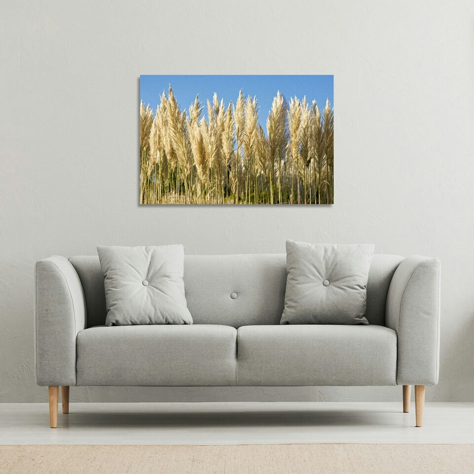 image 1 of Pampus Grass (Canvas Print)