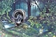 image 1 of Drunk as a Skunk - Mike Jupp Jigsaw puzzle - 1000 pc. jigsaw puzzle