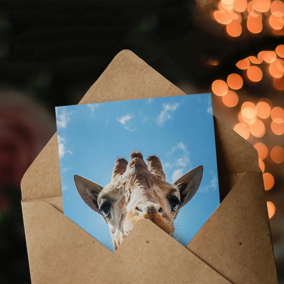 image 1 of Carol M Highsmith Art Card Giraffe Head Up Close Look