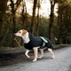 image 5 of Danish Design 2 In 1 Black Dog Coat 40cm (16")