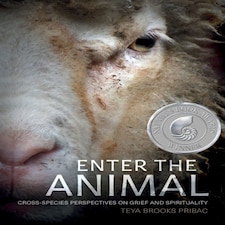 Enter The Animal
