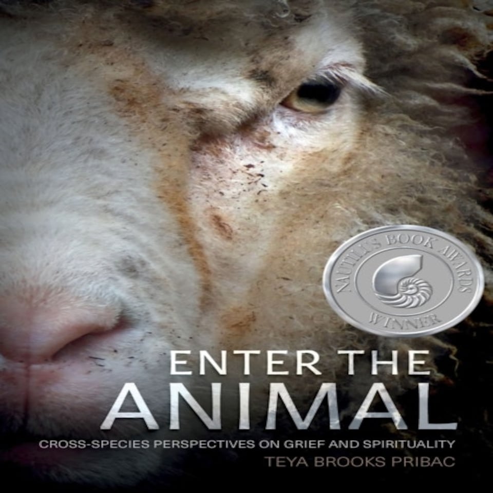 Enter The Animal