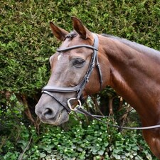 Rhinegold Pro-Anatomic Flash Bridle Brown | Size: Full
Colour: H.Brown