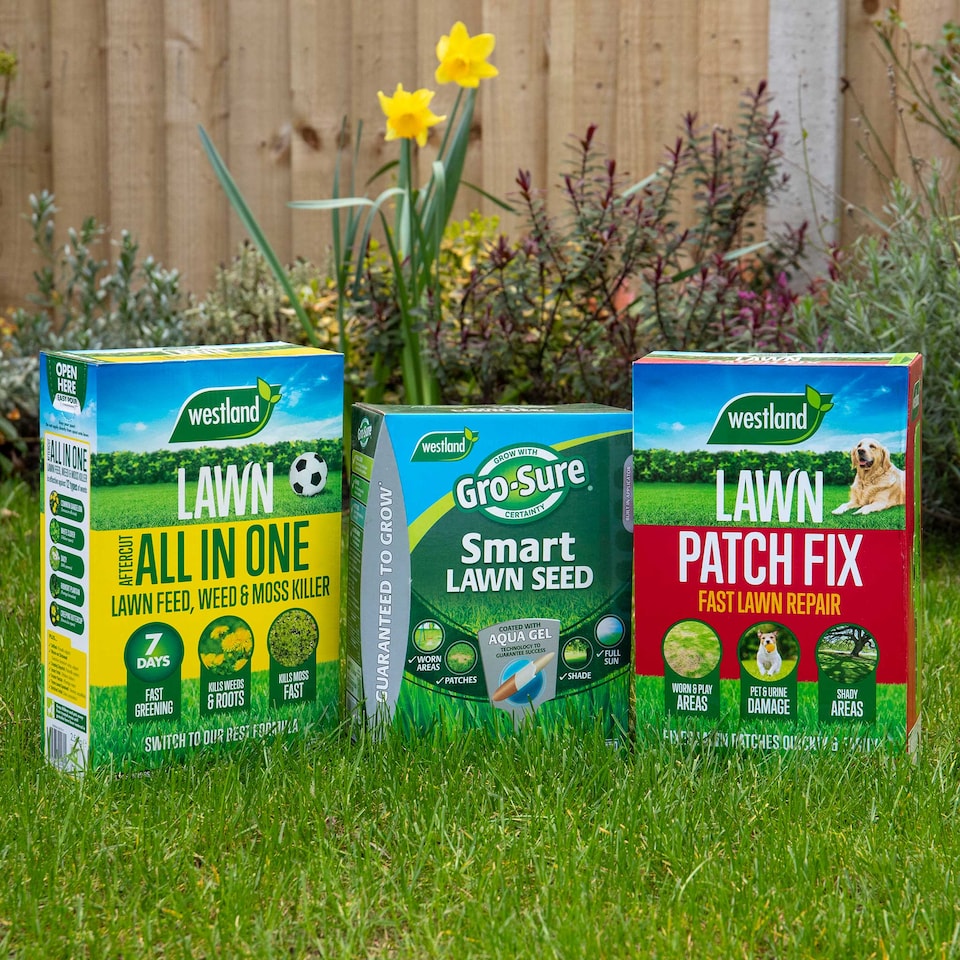 image 1 of Westland Ultimate Lawn Rescue Bundle - 150sqm bundle includes 150sqm Aftercut All in One, 64 Patch Fix and 40sqm Gro Sure Smart Seed