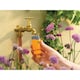 image 2 of Hozelock 2181 Non-return Valve Tap Connector 1/2 - 5/8in Bsp - Multi Colour - One Size | Multi | One Size