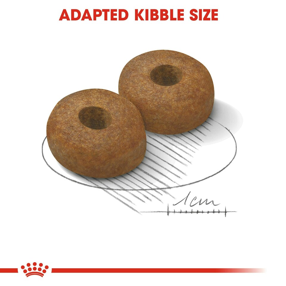 image 1 of ROYAL CANIN® Maxi Ageing 8+ Dry Dog Food
