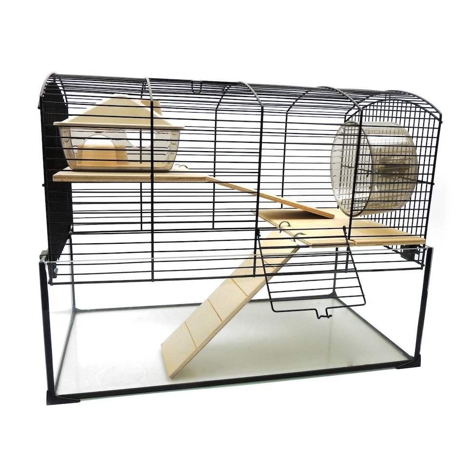 image 1 of Gerbil & Hamster Glass Cage Mayfair 51.5x28x40cm | Little Friends