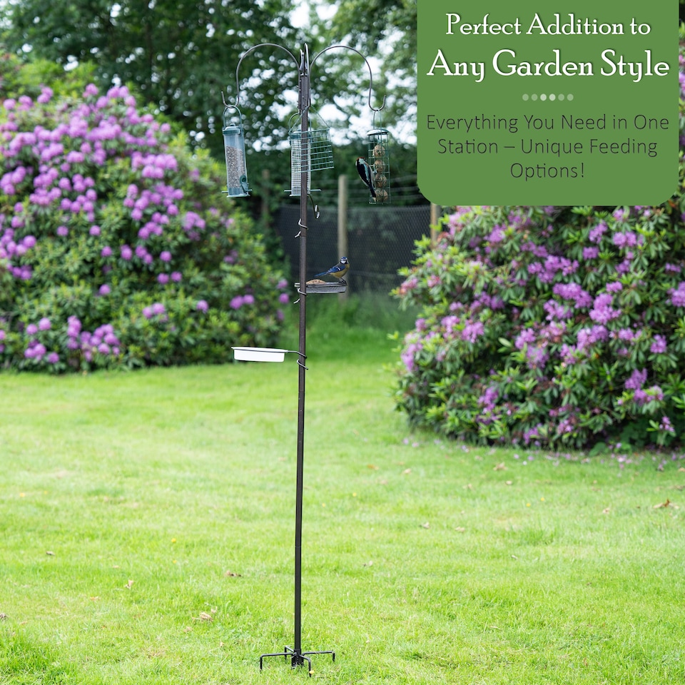 image 1 of Wild Bird Feeding Station Garden Water Bath, Table, Hanging Feeder & Stabilizer