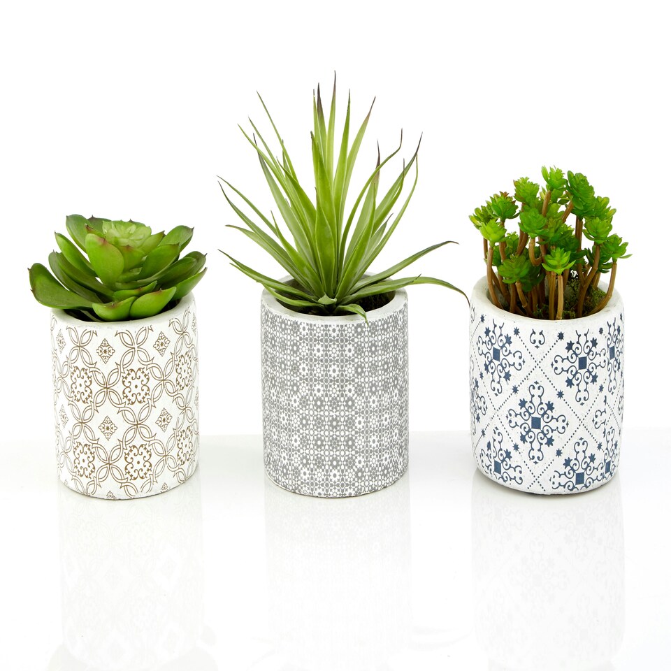 image 1 of Fiori Set of 3 Succulents in Henna Ceramic Pots