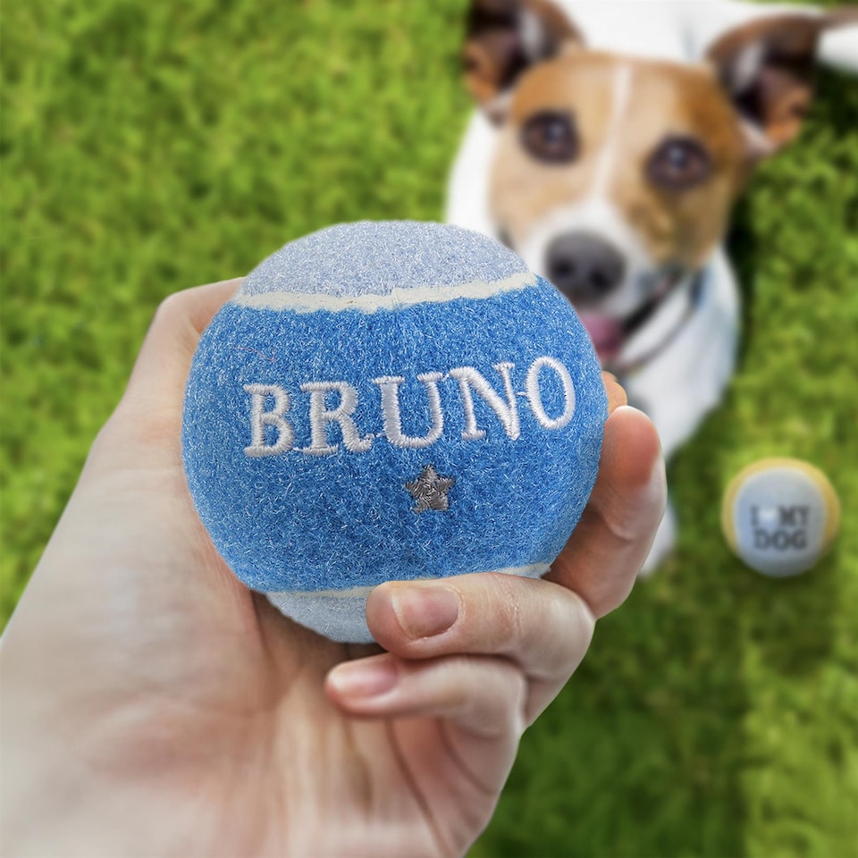 image 1 of Pre-Personalised Dog Ball Gift Pack 2pcs Blue Bruno