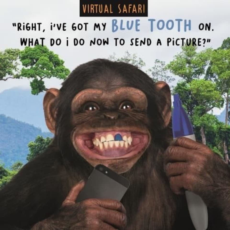 Virtual Safari, Birthday Card for Him, Male Birthday Card, Funny Birthday Card for Him