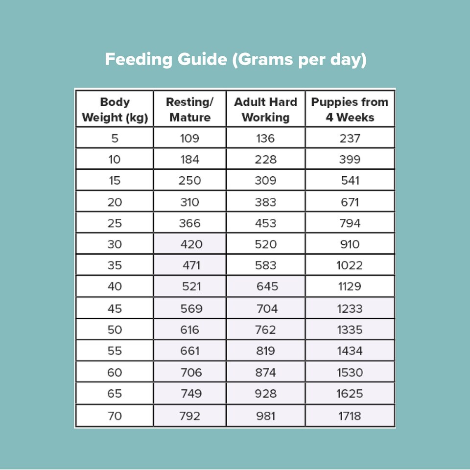 image 1 of Pero Cold Pressed Dog Food - Chicken with Wholesome Grains | Brown | 5kg | Chicken | 1