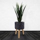 image 1 of Moon Black Planter with Stand | Black