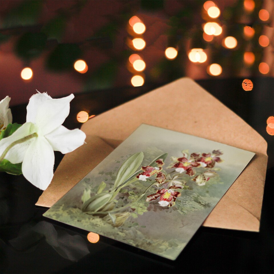 image 1 of Frederick Sander Odontoglossum Harryanum Orchid Art Greeting Card