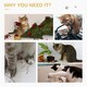 image 5 of PawHut Cat Tree Tower Indoor with Cats Scratching Post Cat House, Grey