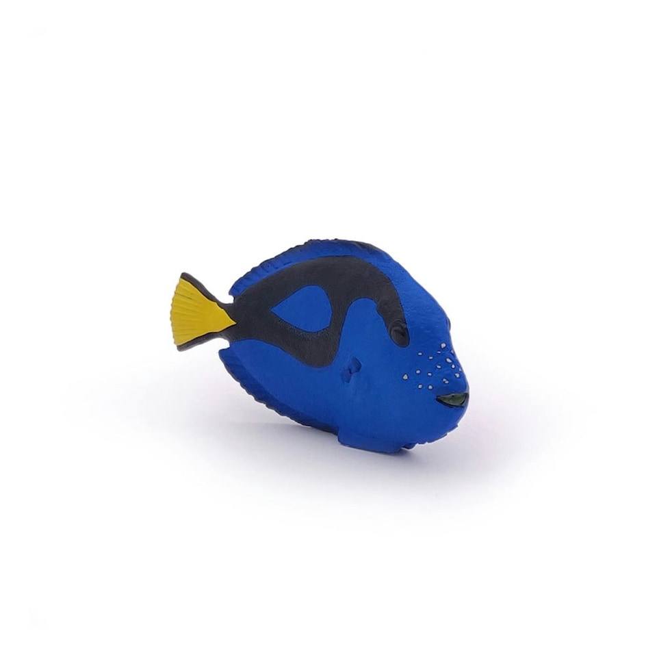 image 1 of PAPO Marine Life Surgeonfish Toy Figure