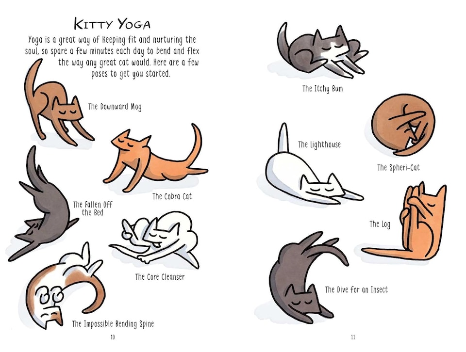 image 1 of Mindful Meowments - Inspiring Gift Book