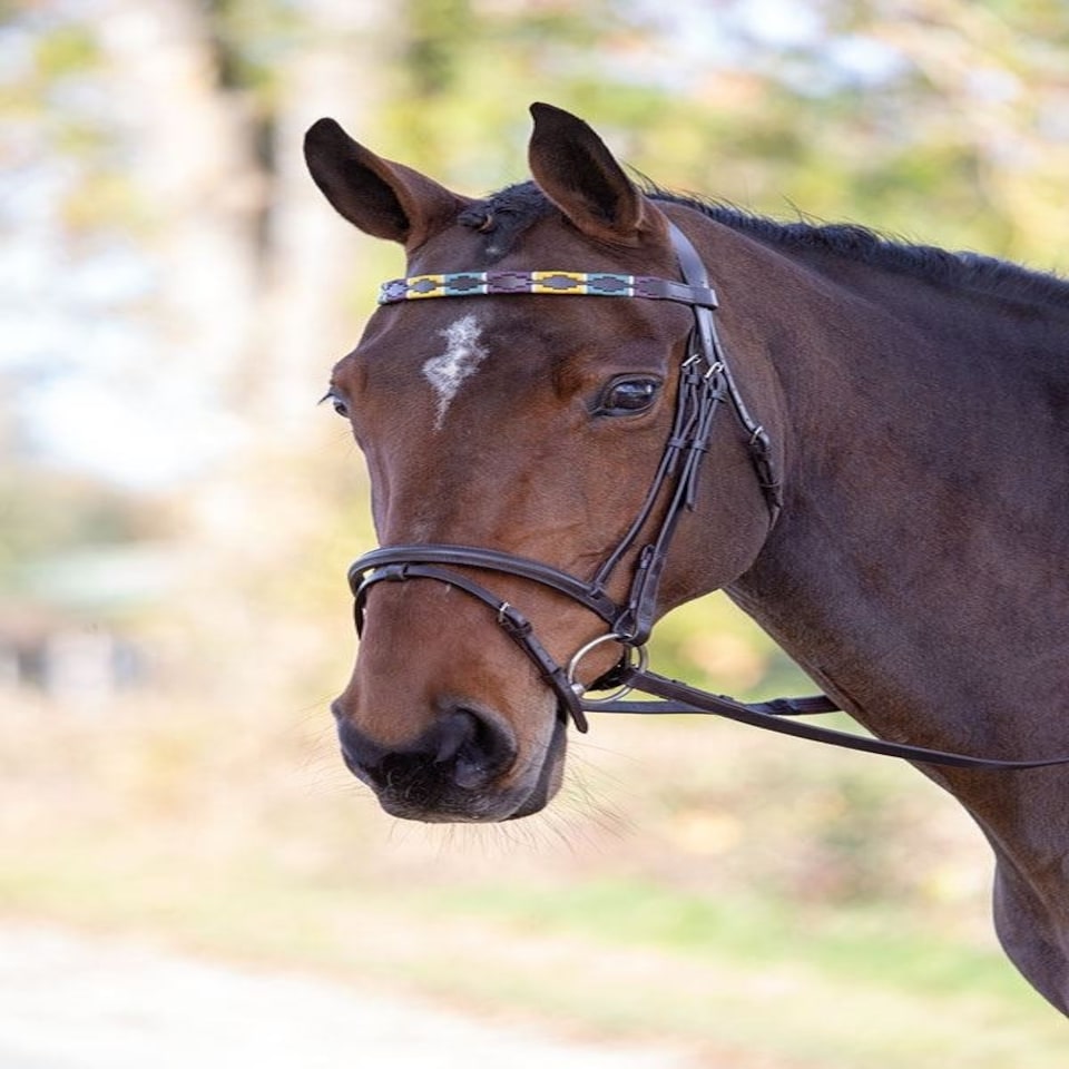 image 1 of Shires Blenheim Leather Polo Browband Red | Size: Pony
Colour: Red/Navy