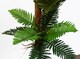 image 2 of Artificial Large Palm Tree with Natural Trunk 150cm  - Realistic plant by Botanik | Green | 5ft