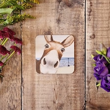 Lucy's Farm Donkey at Swanage Pier Melamine Coaster