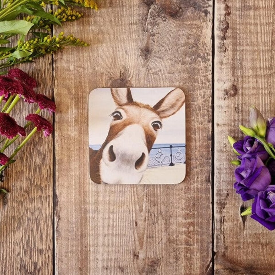 image 1 of Lucy's Farm Donkey at Swanage Pier Melamine Coaster