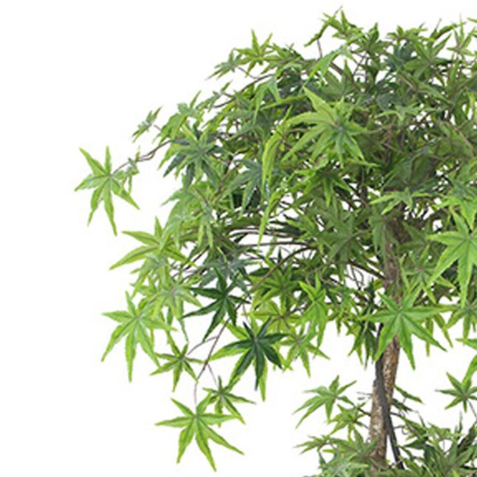 image 1 of 150cm Artificial Japanese Maple Tree | Green | 5ft