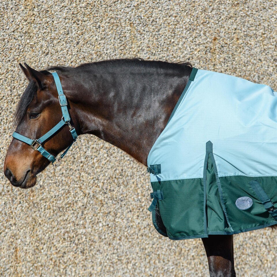 image 1 of eQuitack 600D Waterproof Horse Turnout Rug 0g No Fill Regular Neck Pista Aqua/Bottle Green 6'6''