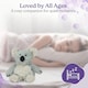 image 10 of Warmies Koala Junior Plush Microwavable Heat Pad, Hot or Cold Cuddly Plushie, Lightly Scented with French Lavender, Soft Microwave Heat Cushion