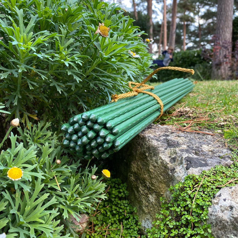 image 1 of Plastic Coated Metal Garden Plant Support Sticks (60cm) - Pack of 40
