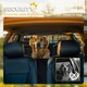 image 5 of PawHut Dog Guard for SUVs, Vehicles, Vans, Car Barrier with Adjustable Width