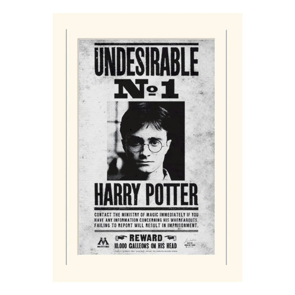 LX - HARRY POTTER (UNDESIRABLE NO1) - POSTER / PRINTS