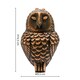 image 3 of Cast Iron Owl Door Knocker