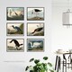 image 3 of Pack Of 6 Vintage Audubon Birds Heron Ibis Cormorant Animal Wall Art Prints 12X16 Inch