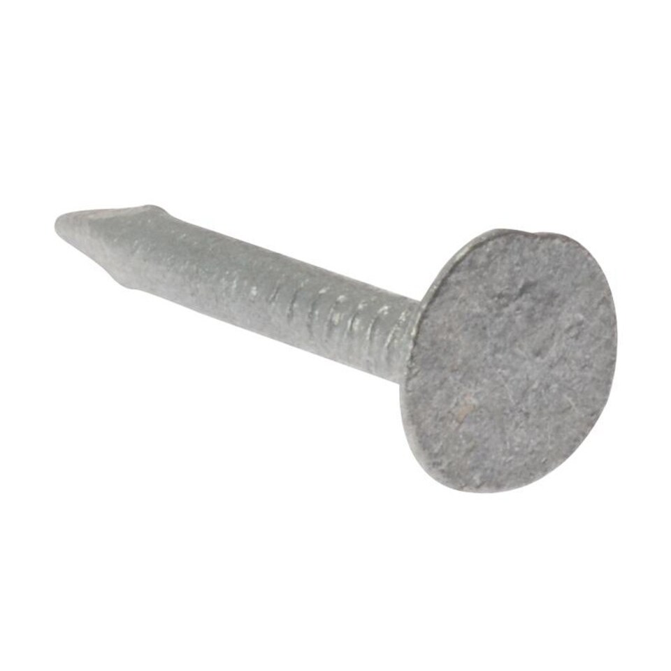Forgefix Clout Nails, Extra Large Head, Galvanised - Galvanised - 30mm Bag Weight 2.5kg