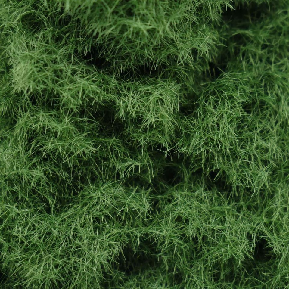 image 1 of Gaugemaster Scenics Marsh Soil 2.5mm Static Grass 30g (GM172)
