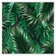image 1 of Tropical leaves on black (Picture Frame) White | M