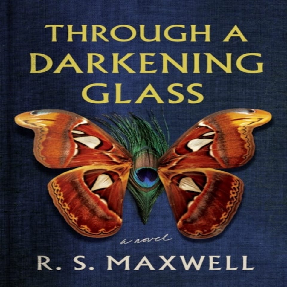 Through A Darkening Glass