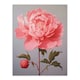 image 3 of Pretty Pink Peony Elegant Floral Bloom Home Decor Black Framed Wall Art Print A4