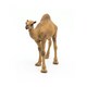 image 10 of PAPO Wild Animal Kingdom Dromedary Toy Figure