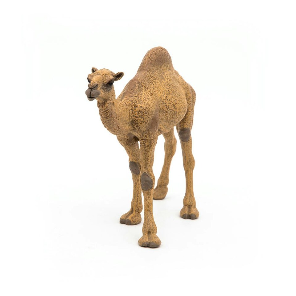 image 1 of PAPO Wild Animal Kingdom Dromedary Toy Figure