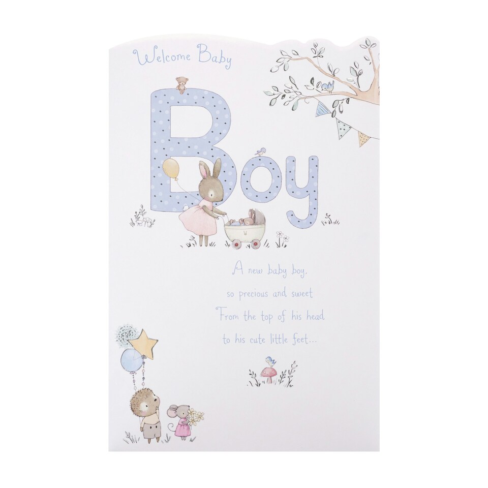 image 1 of Boy Birth Congratulations Card - Cute Animals