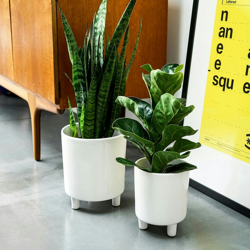 image 1 of Pisa Planter - Ceramic - L20 x W20 x H24 cm - Mustard | Brown